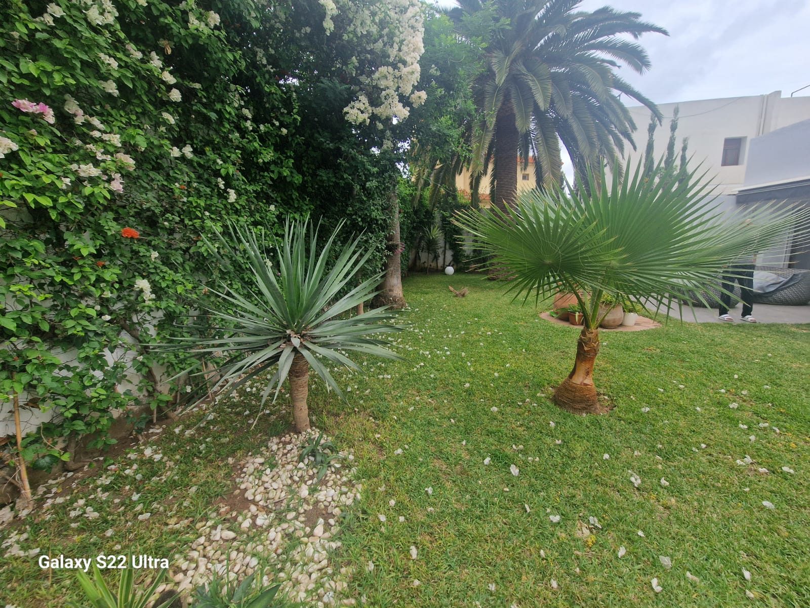 Villa à louer Oasis | Polo, Casablanca : photo 7